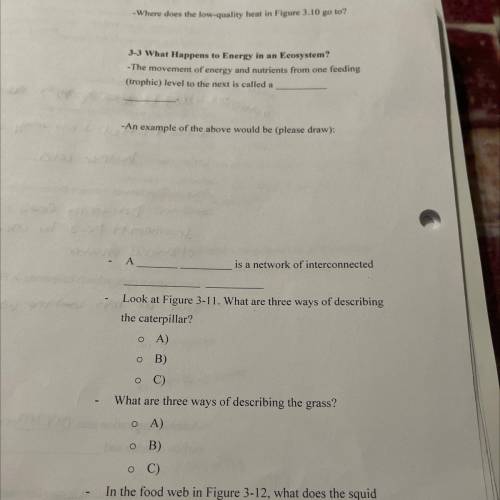 PLEASE HELP TO ALL THESE QUESTIONS