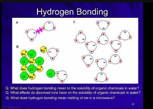 Hydrogen Bonding 
Please help!!