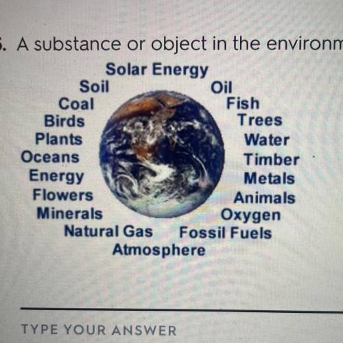 A substance or object in the environment required by an organism for life?