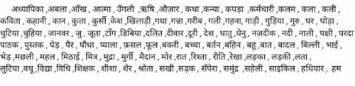 I need help with this for my brudda, It's bout hindi..I need plural forms for these words.