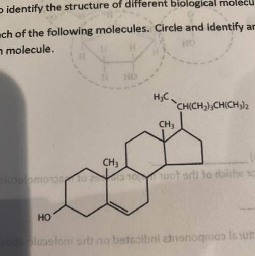 What is this molecule
