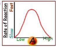 Which of the following graphs best shows the relationship between the reaction rate of an enzyme-ca