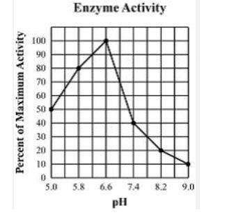 Which of the following conclusions can be drawn from this graph?

A) The optimum pH of the enzyme
