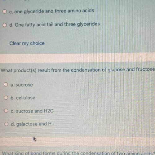 I need answer for number two please
