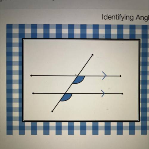 Identifying Angle Pair Relationships

What is the angle pair relationship between the two
marked a