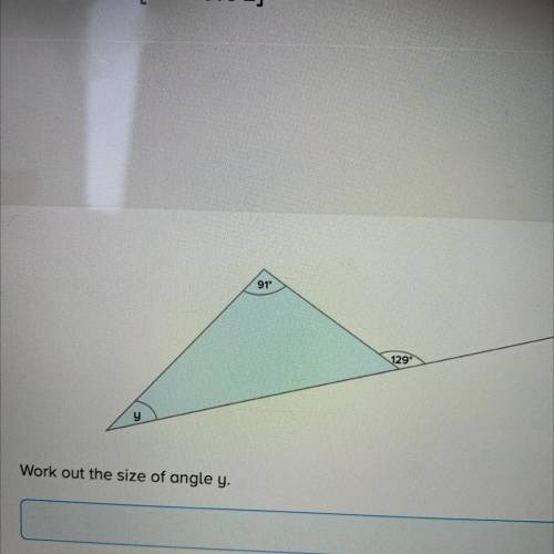Work out the size of angle y.