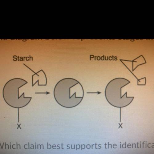 Which claim best supports the identification of the products of the reaction?

The products are mi