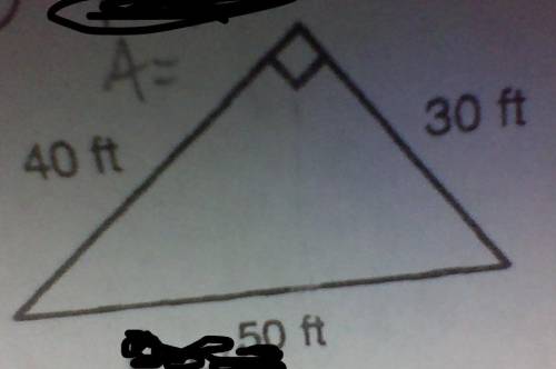 This is 6th-grade math just find the area of the triangle-
A= 1/2 (b) (h)