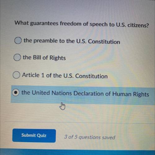 What guarantees freedom of speech to U.S. citizens?

A. the preamble to the U.S. Constitution
B. t