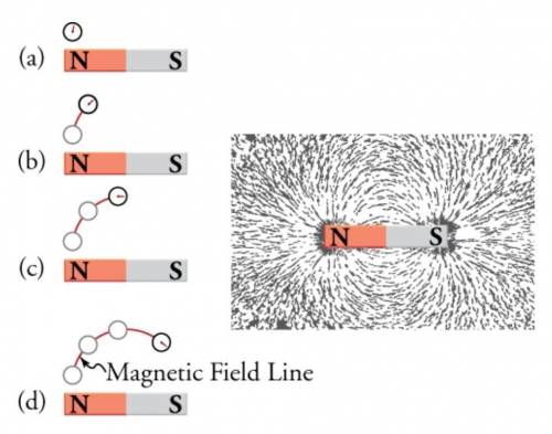 How should the magnetic field lines be drawn for the magnets shown below?