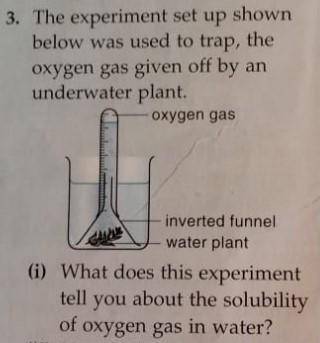 Please answer this and explain solubilty. If a gas is soluble in water does it dissolve in it or co