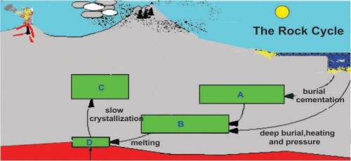 [RM.02]The diagram below shows a portion of the rock cycle.

At what location in the diagram is ma