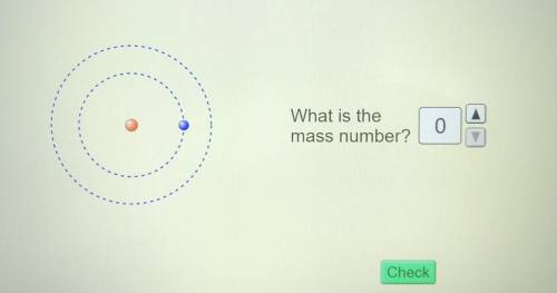 What is the mass number?