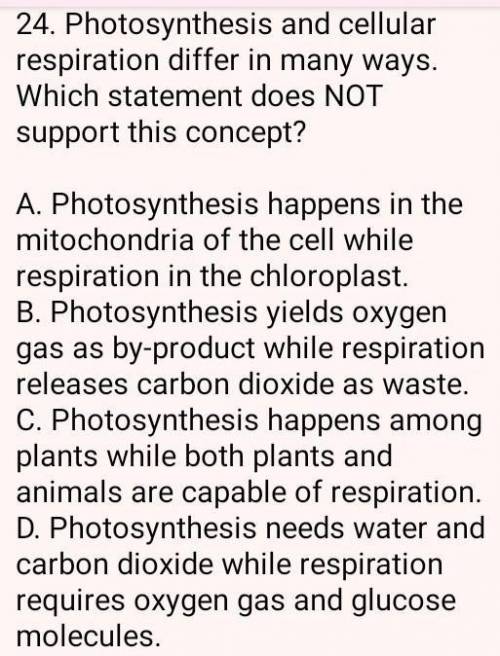 Ineed it now plss answer it correctly asap​