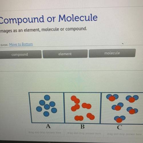 Element, Compound or Molecule
Identify each of the images as an element, molecule or compound.