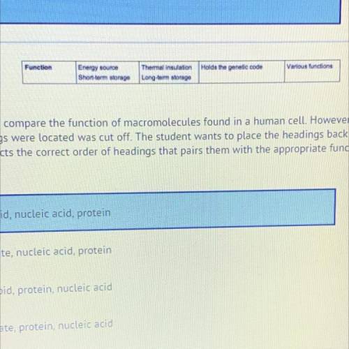 A student creates a table to compare the function of macromolecules found in a human cell. However,