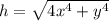 h=\sqrt{4x^4+y^4}