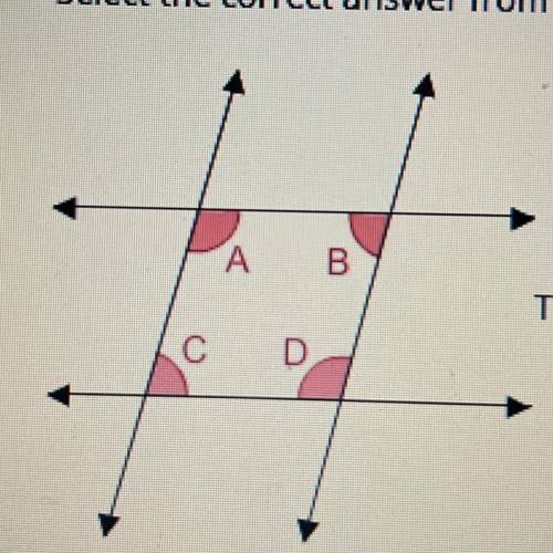 Select the correct answer from each drop-down menu.

The diagram shows two pairs of parallel lines