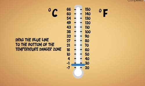 Drag the blue line to the bottom of the temperature danger zone