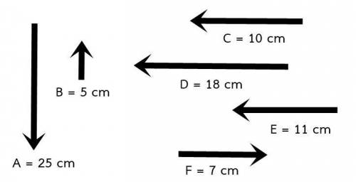 From the figure showing the magnitude of the force vector, let 1 cm equal 1 newton. Find the magnit