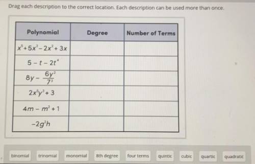 Classify each polynomial based on its degree and number of terms.