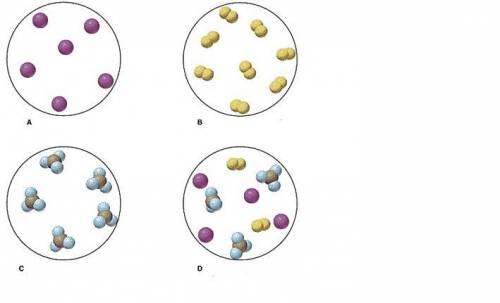 The picture below shows the arrangement of different particles. Which diagram would best represent