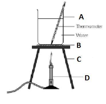 What type of change will the experiment setup below show?