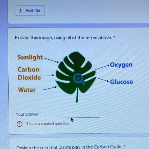 Explain this image, using all of the terms above. *

4 points
Sunlight
Carbon
Dioxide
Oxygen
Gluco