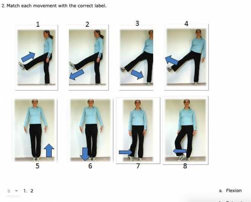 Match each movement with the correct label.

flexion
extension
adduction
abduction
elevation
depre