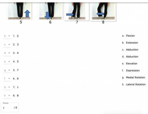 Match each movement with the correct label.

flexion
extension
adduction
abduction
elevation
depre