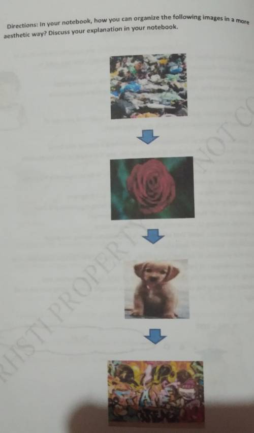 In you notebook, how you can organize the following images in a more aesthetic way? Discuss your ex