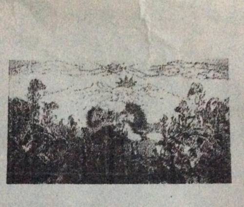 Analyze the picture and try to see the elements and principles of it

Top the picture..pls help :(