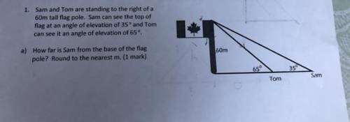 Sam and Tom are standing to the right of a 60m tall flag pole. Sam can see the top of the flag at a