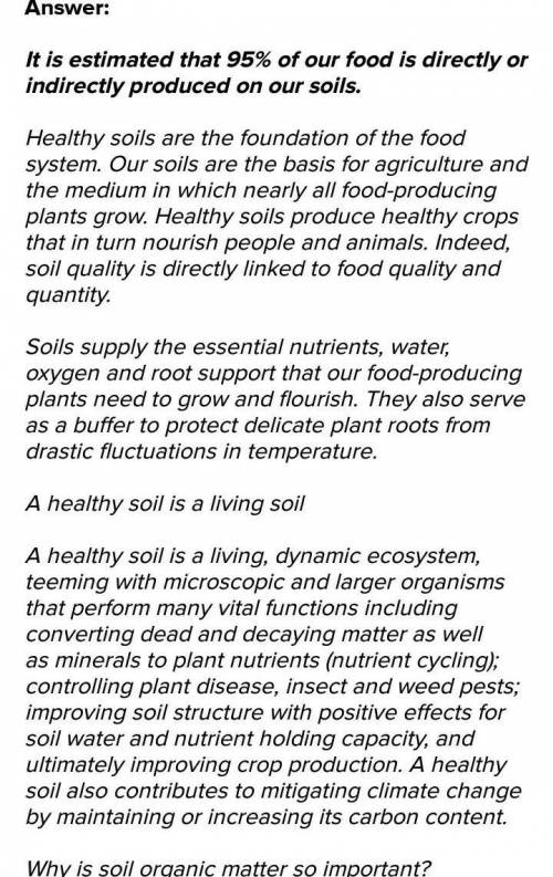 Fertile soil the basis of food security write description