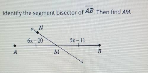 Identify the segment bisector of AB. Then find AM.​