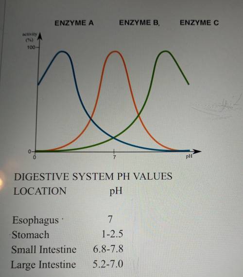 The following graph maps the activity levels of three different enzymes. The table lists different