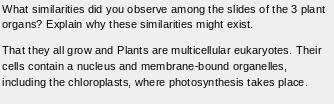 Which organ had the most vessels (xylem and phloem in plants)?

REWARD>>>> Brainliest