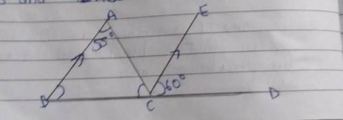 In the the adjoining figure ,AB//CE, {ANGLE} BAC=55°, {ANGLE} ECD=60° find {ANGLE} ACB and {ANGLE}
