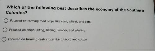 Which of the following best describes the economy of the Southern colonies