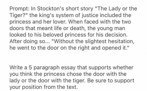 What door did the lady pick in the story the lady or the tiger as a 5 paragraph essay please!! pl