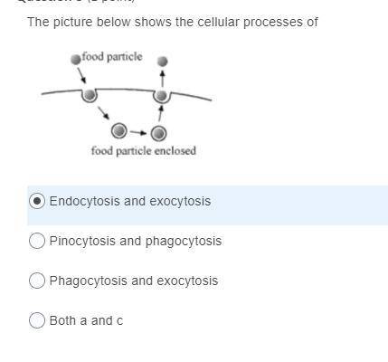 The picture below shows the cellular processes of

A .Endocytosis and exocytosis
B. Pinocytosis an