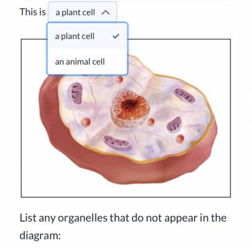 Giving brainliest!

is this a plant cell or animal cell? could u please also list organelles that