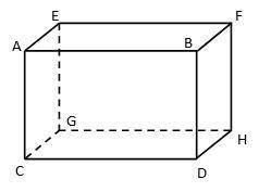Plane AEG and plane DHF are __________

Group of answer choices
parallel
perpendicular
intersectin