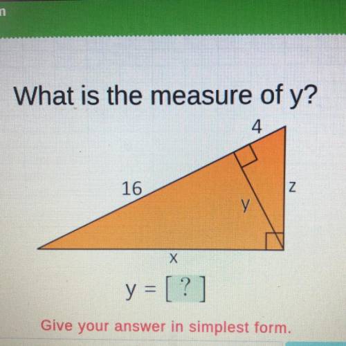 What is the measure of y? Plz help