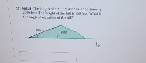 What is angle of elevation