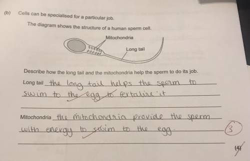 Does anyone know what the second mark would be awarded for in the mitochondria part?
20 pts :]