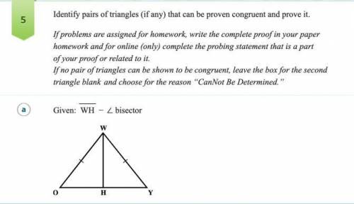 WILL GIVE BRAINLIEST AND 30 POINTS Identify pairs of triangles (if any) that can be proven cong