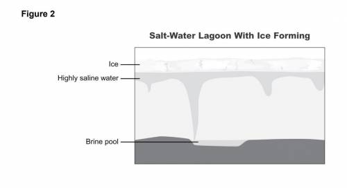 SEP Construct an Explanation Look at Figure 2. In winter, ice forms on the

lake surface. There is