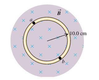 A circular loop of wire is in a spatially uniform magnetic field. The magnetic field is directed in