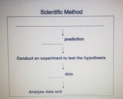 can someone tell me how to fill in this scientific method chart what do I put for prediction and da